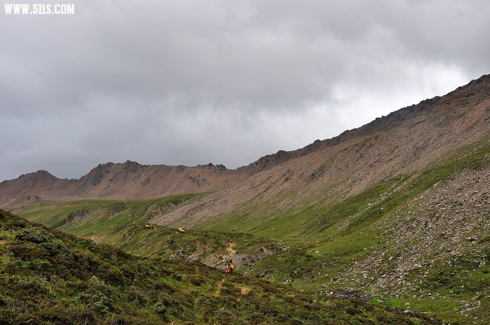 DSC_0620-1.jpg