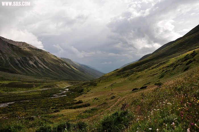 DSC_0663-1.jpg