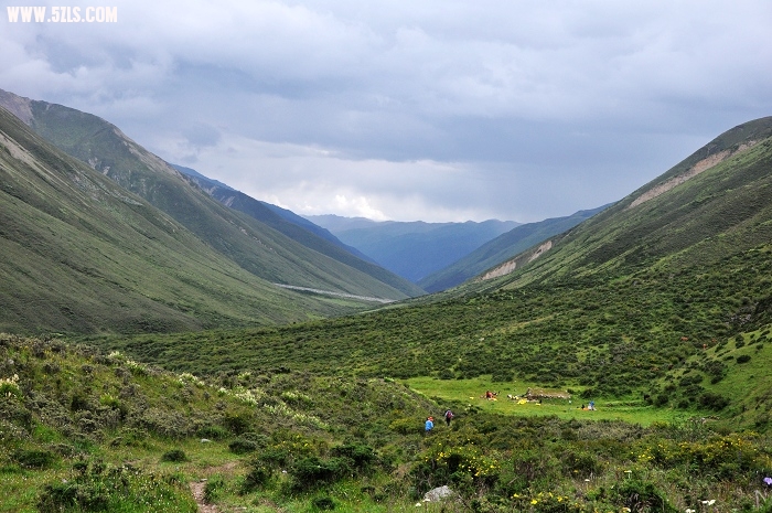 DSC_0675-1.jpg