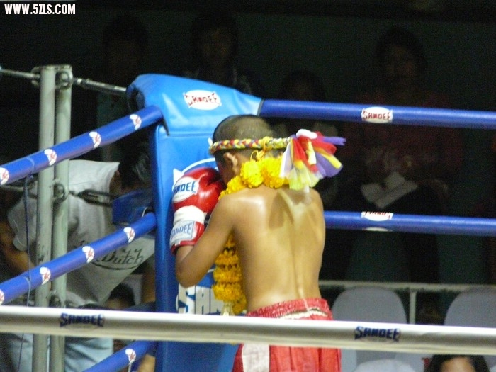 P1150501.jpg