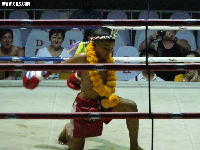 P1150505.jpg
