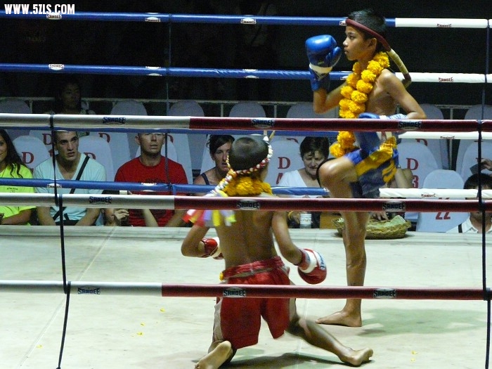 P1150520.jpg