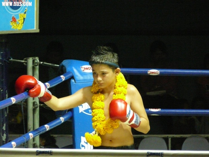 P1150544.jpg