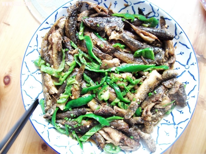 DSCF0239.JPG