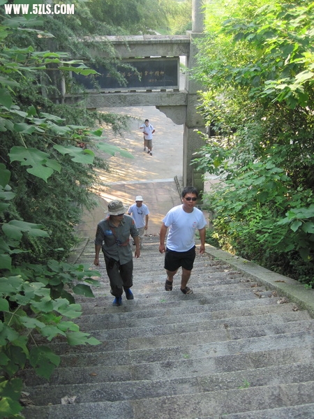 IMG_0174_С.jpg