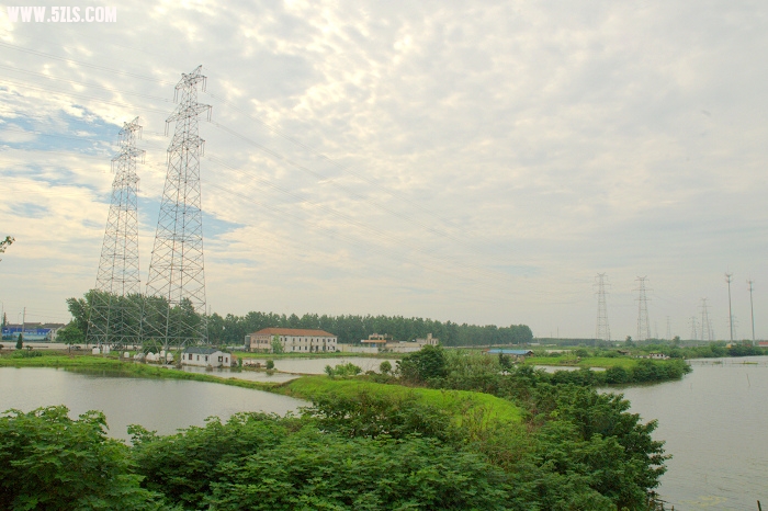 DSC_1294.jpg