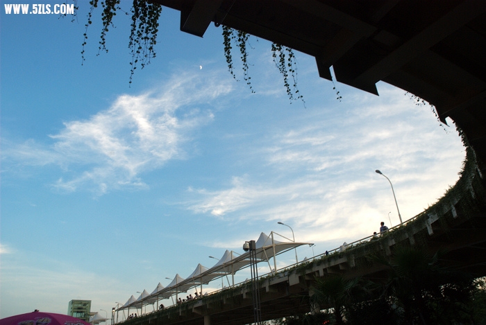 DSC_0169.jpg
