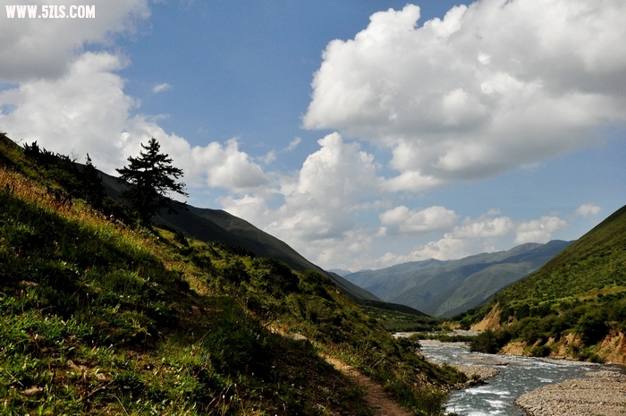 DSC_0791-1.jpg
