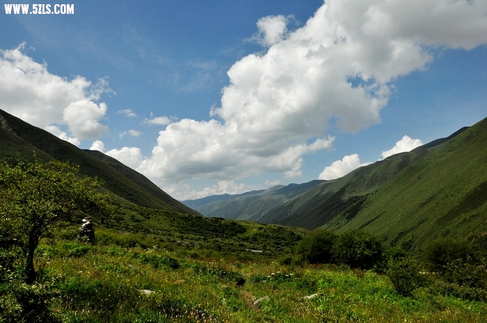 DSC_0796-1.jpg