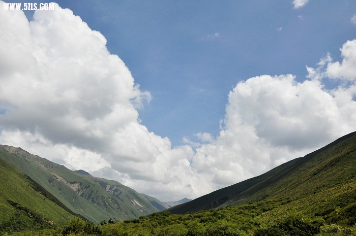 DSC_0811-1.jpg
