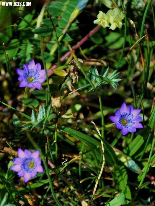 DSC_0815-1.jpg
