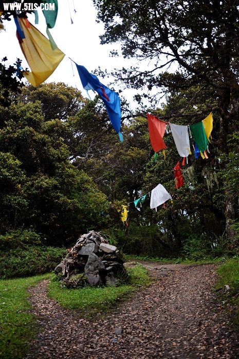 DSC_0041-1.jpg