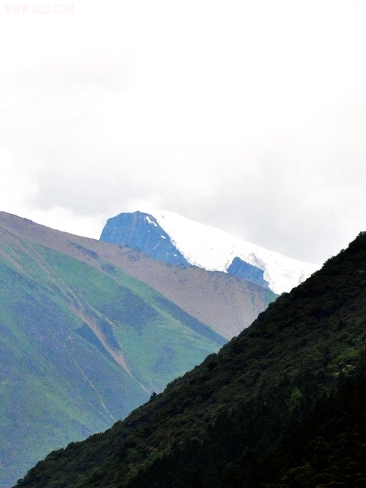 DSC_0243-1.jpg