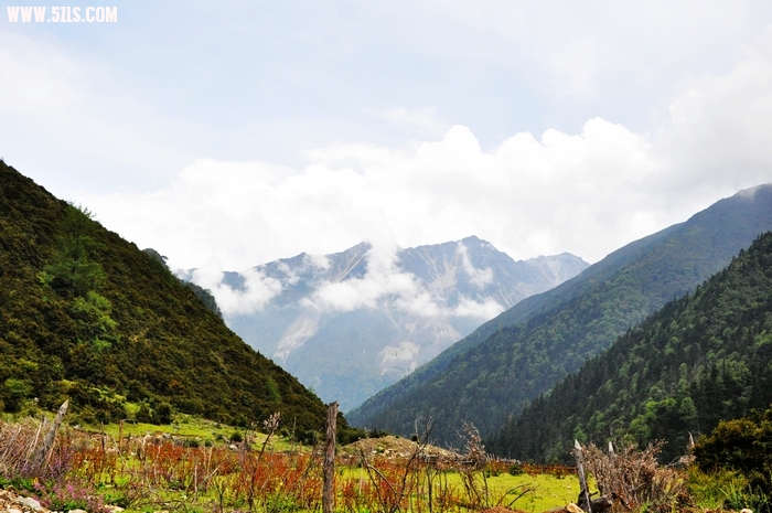 DSC_0248-1.jpg