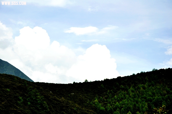 DSC_0250-1.jpg