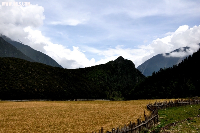 DSC_0257-1.jpg