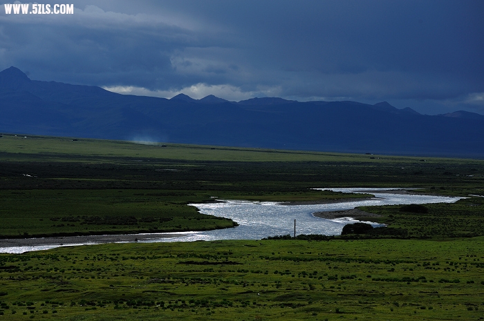 DSC_2642_460.jpg