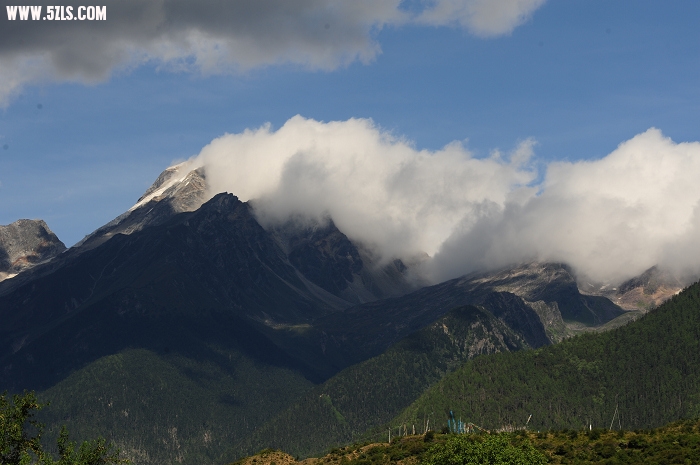 DSC_4010.jpg