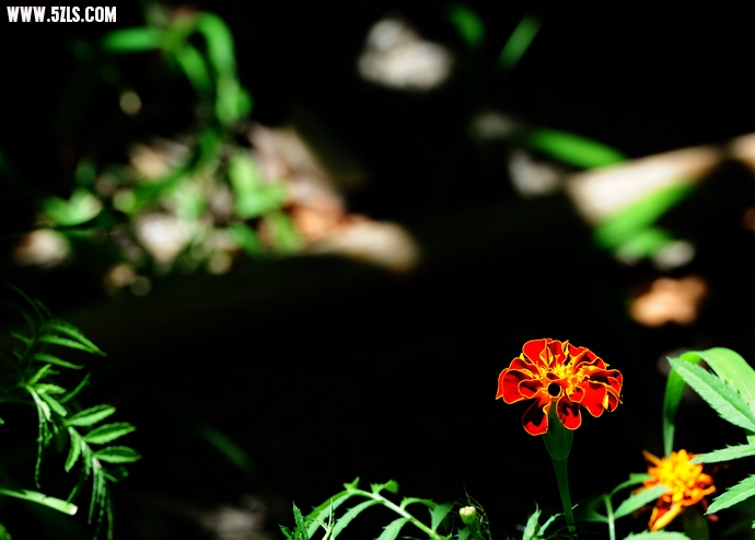 DSC_3032.jpg