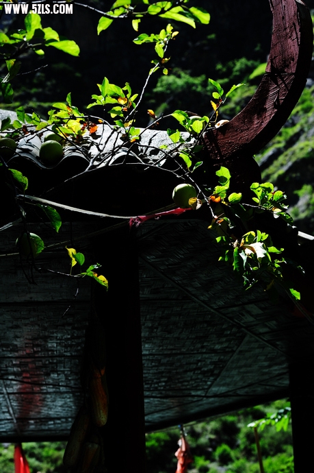 DSC_3046.jpg