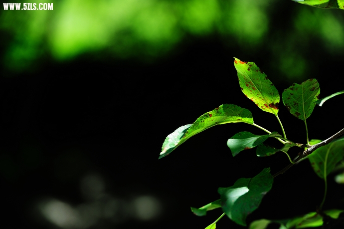 DSC_3037.jpg