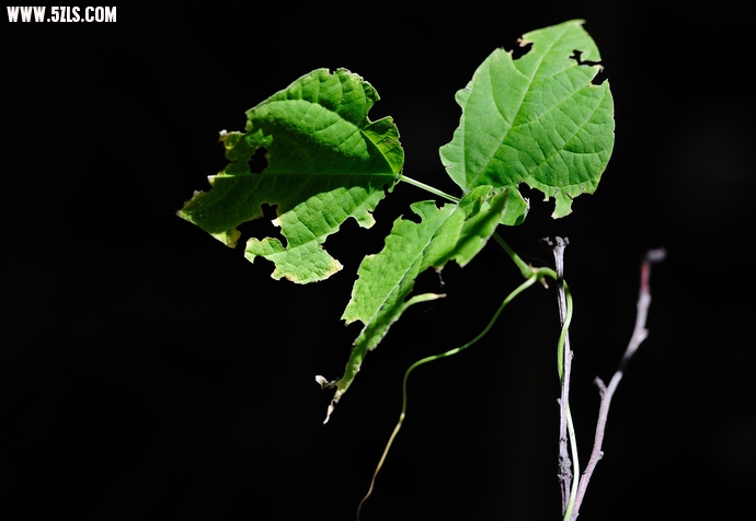 DSC_3054.jpg