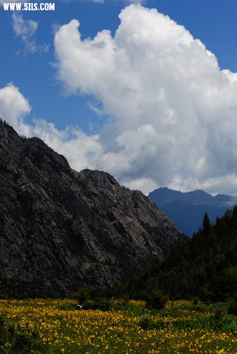 DSC_3370.jpg