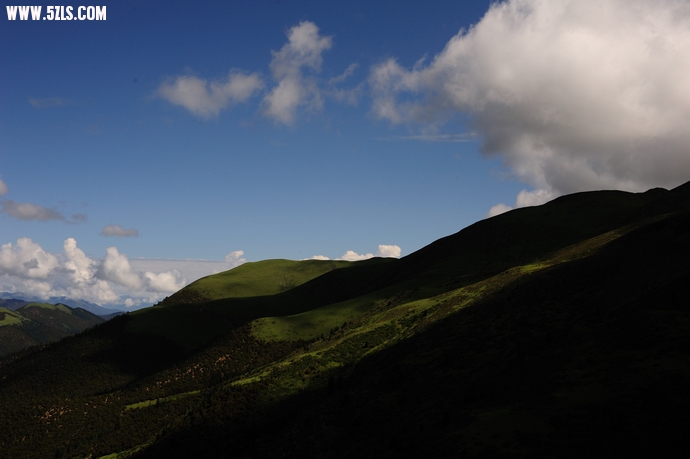 DSC_3666.jpg