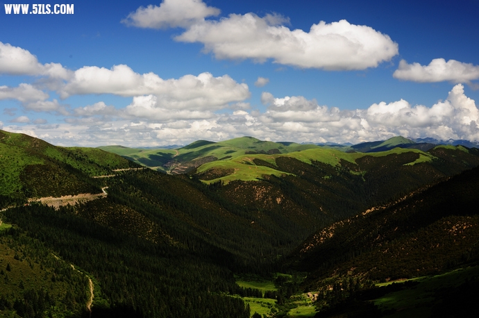 DSC_3677.jpg