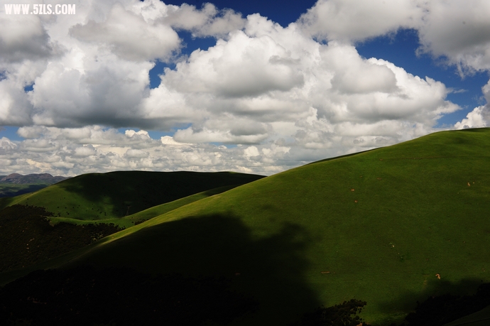 DSC_3737.jpg
