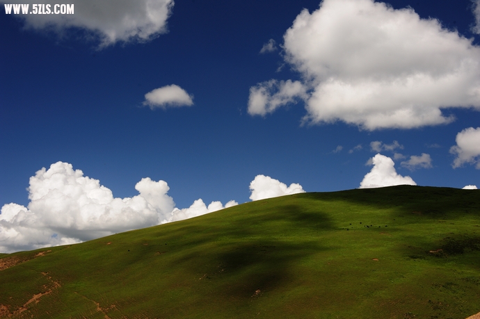 DSC_3723.jpg