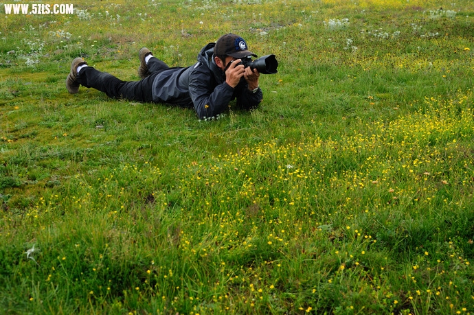 DSC_3778.jpg