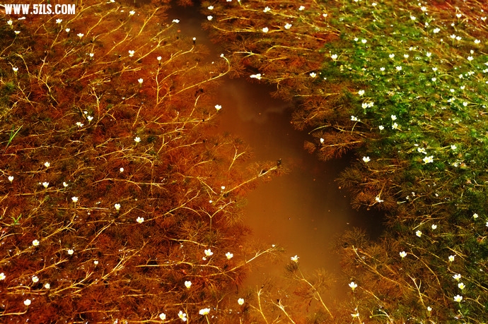 DSC_3793.jpg