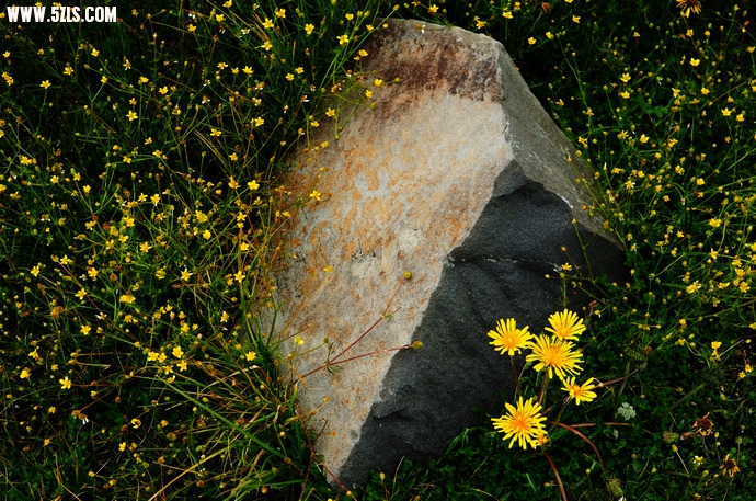 DSC_3772.jpg