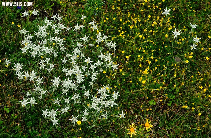 DSC_3770.jpg