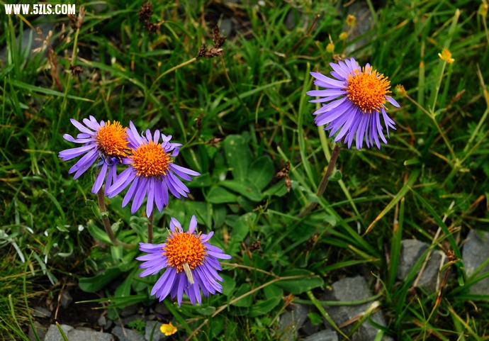DSC_3779.jpg