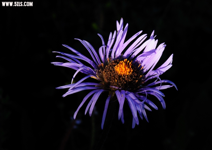 DSC_3561.jpg