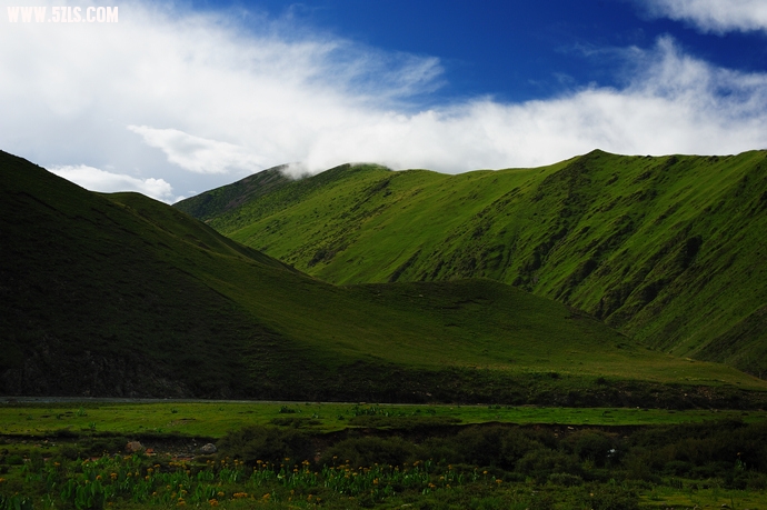 DSC_3832.jpg