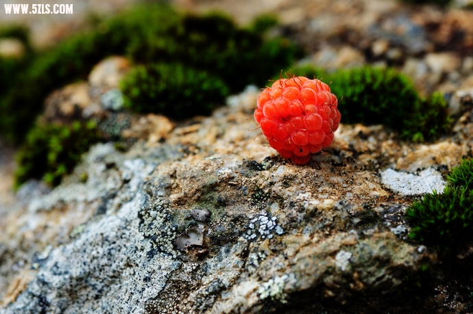 DSC_4170.jpg