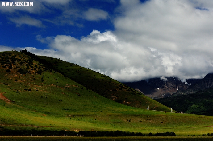 DSC_4294.jpg