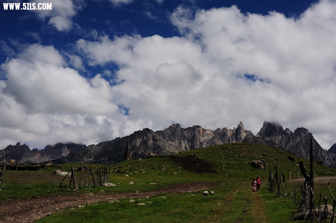 DSC_4336.jpg