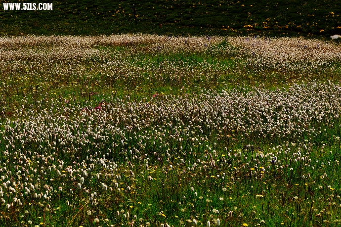 DSC_4381.jpg