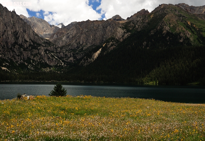 DSC_4524.jpg