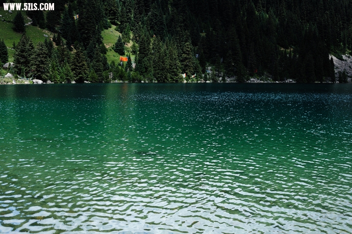 DSC_4489.jpg