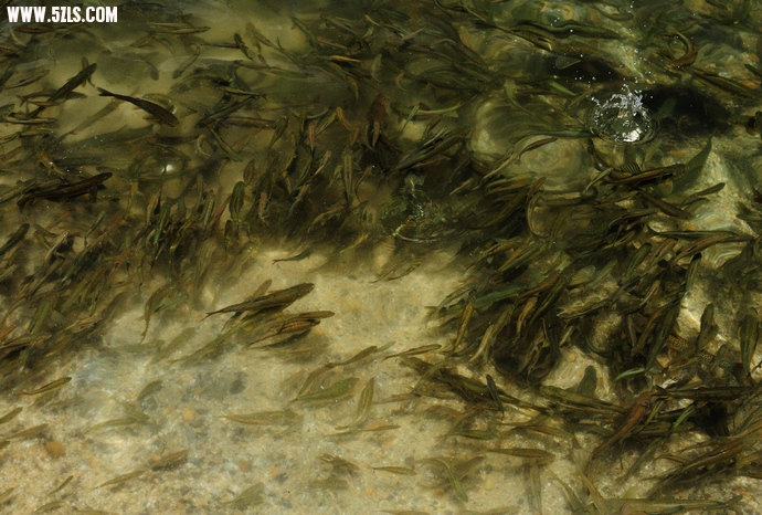 DSC_4451.jpg