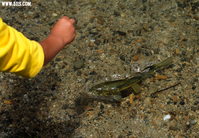 DSC_4440.jpg