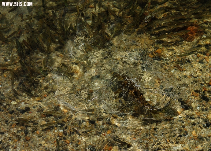 DSC_4439.jpg