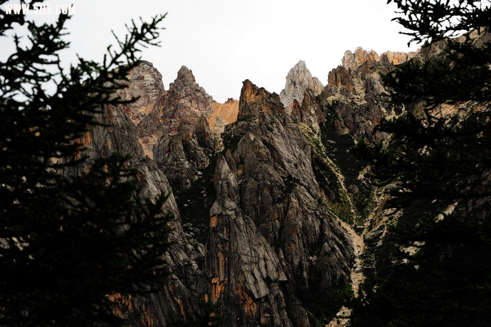 DSC_4776.jpg