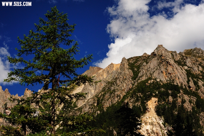 DSC_5013.jpg