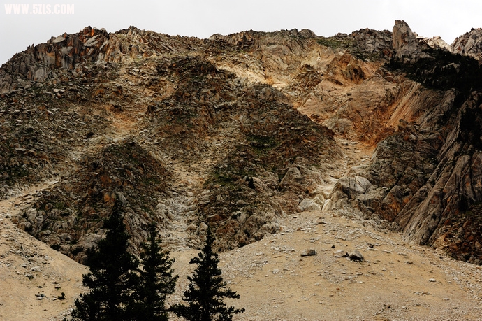 DSC_4774.jpg